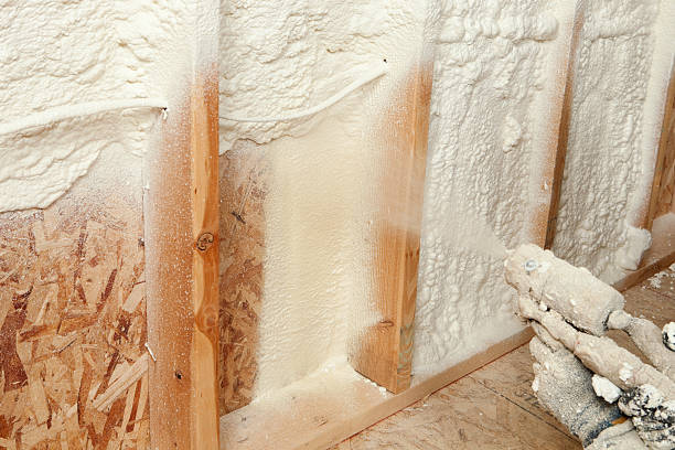 Best Spray Foam Insulation in Braddock Hills, PA